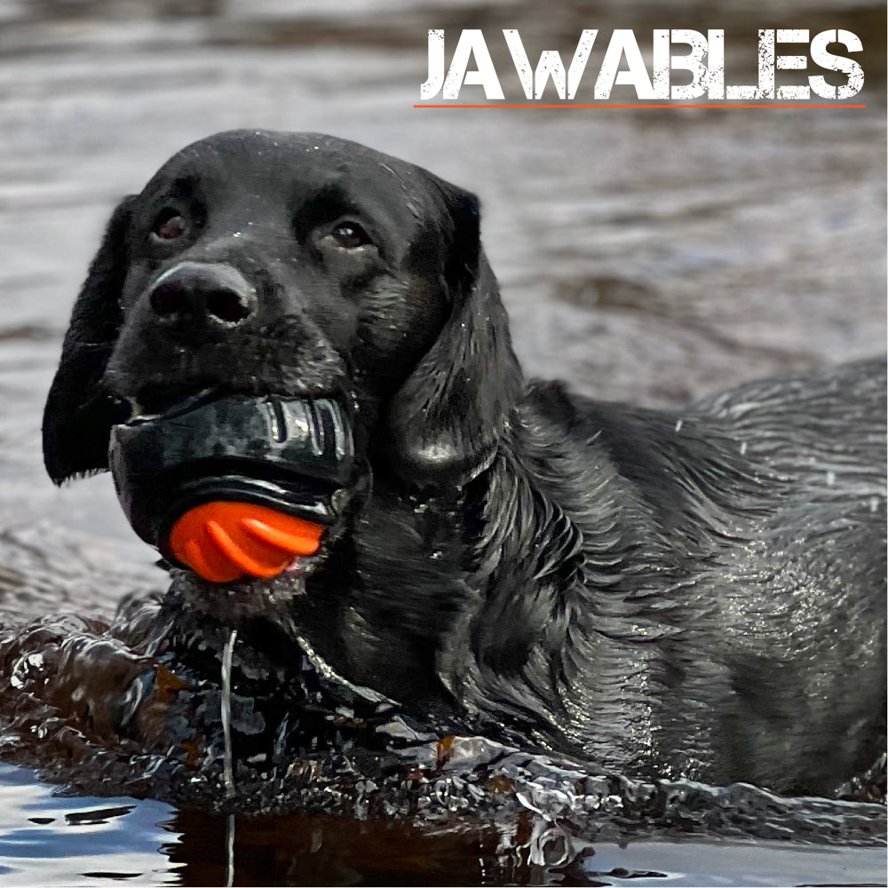 Jawables Extreme Tough Dog Toys Ball with Squeaker