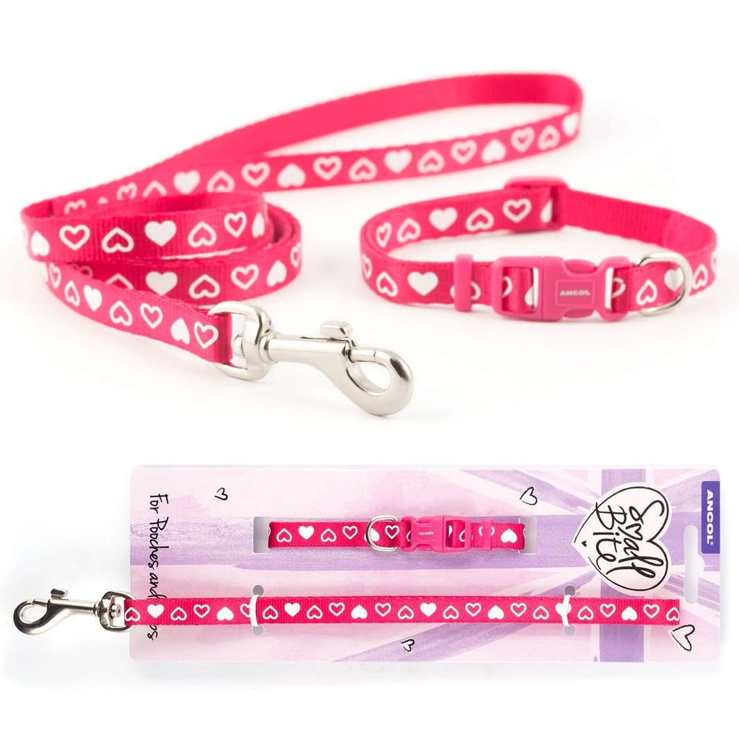 Ancol Puppy Small Bite Dog Collar & Lead Set Heart Raspberry