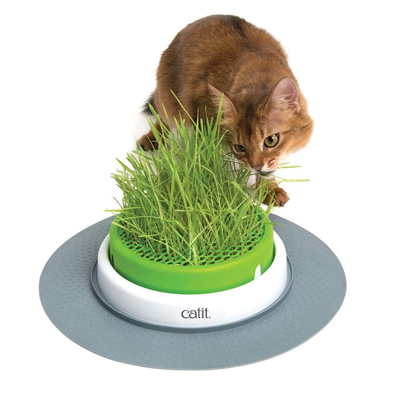 Catit Senses 2.0 Cat Grass Kit