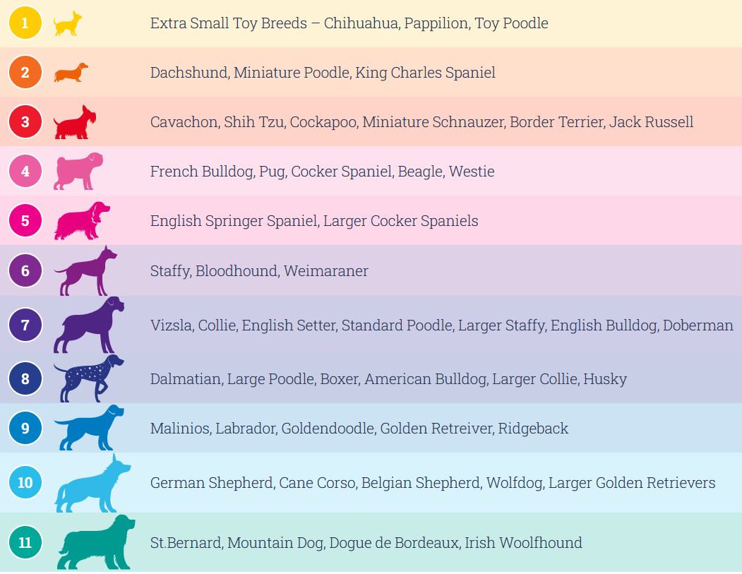 Doodlebone Originals Snappy Dog Harness Fuchsia 7 Sizes