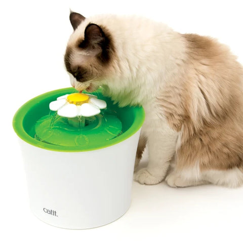 Cat Drinking Fountains