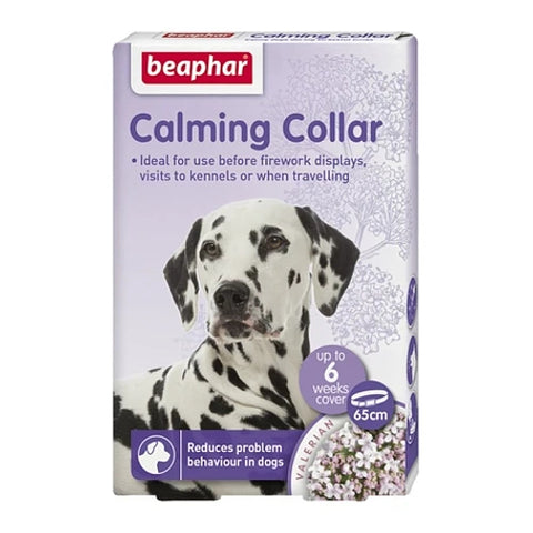 Dog Calming & Behaviour