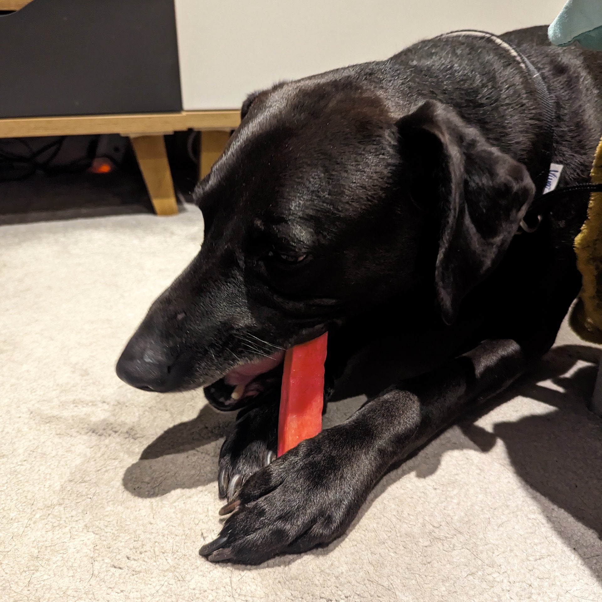 K2 Yak Chews Dog Treats Strawberry Large