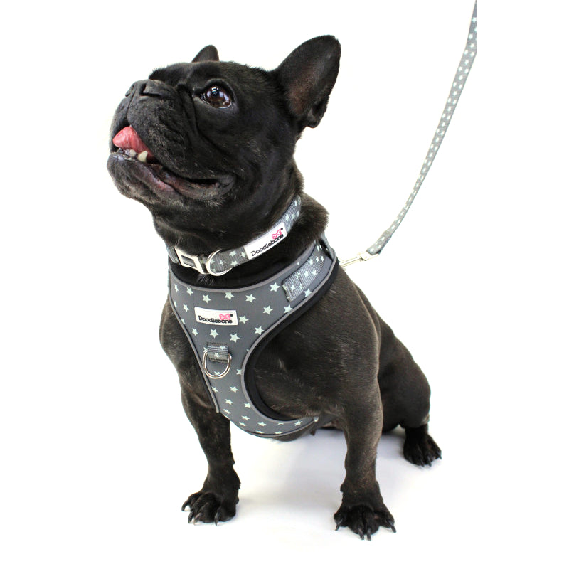 Doodlebone Adjustable Airmesh Dog Harnesses Grey Stars Glow in the Dark 5 Sizes