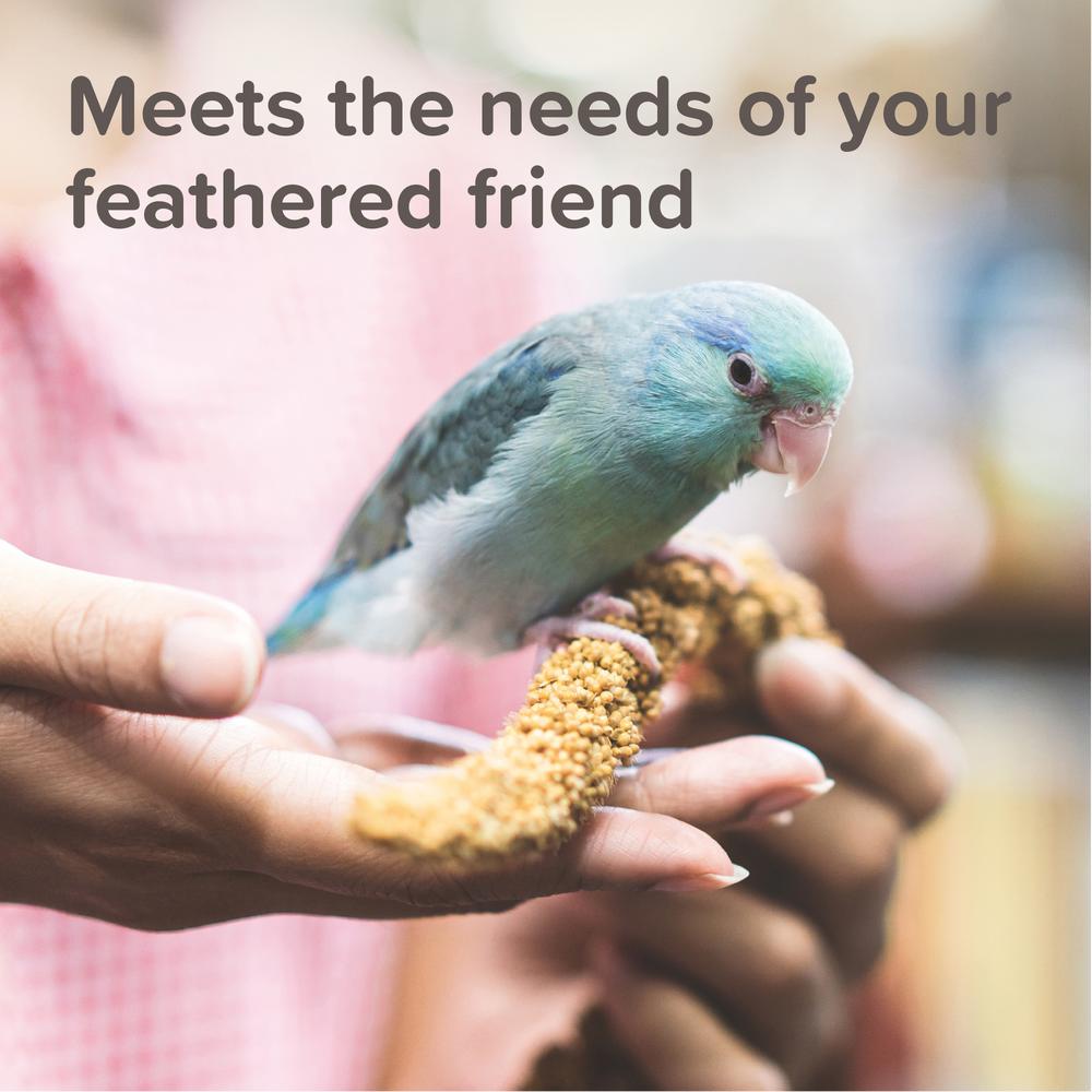 Beaphar XtraVital Parrot Complete Bird Food 2 Sizes