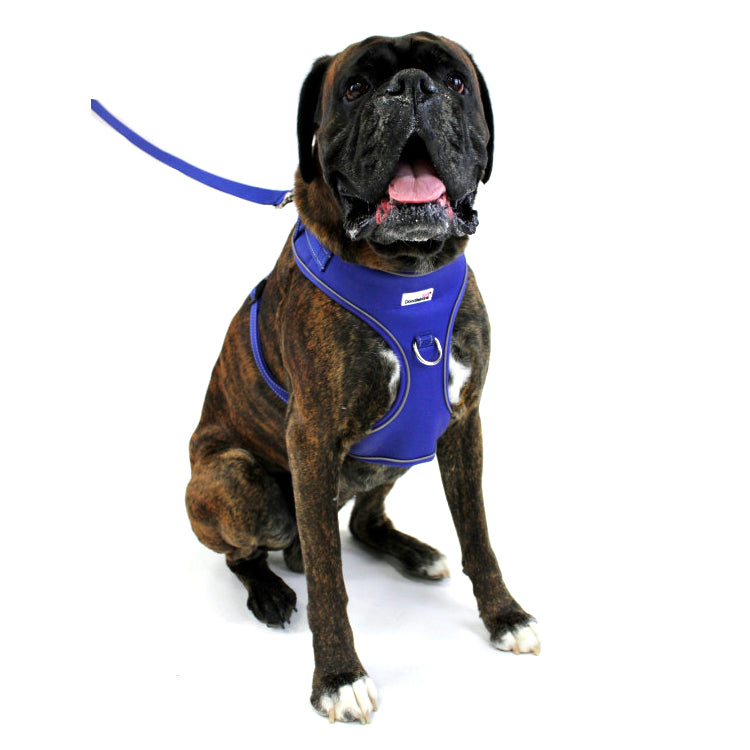 Doodlebone Adjustable Airmesh Dog Harnesses Cobalt 5 Sizes