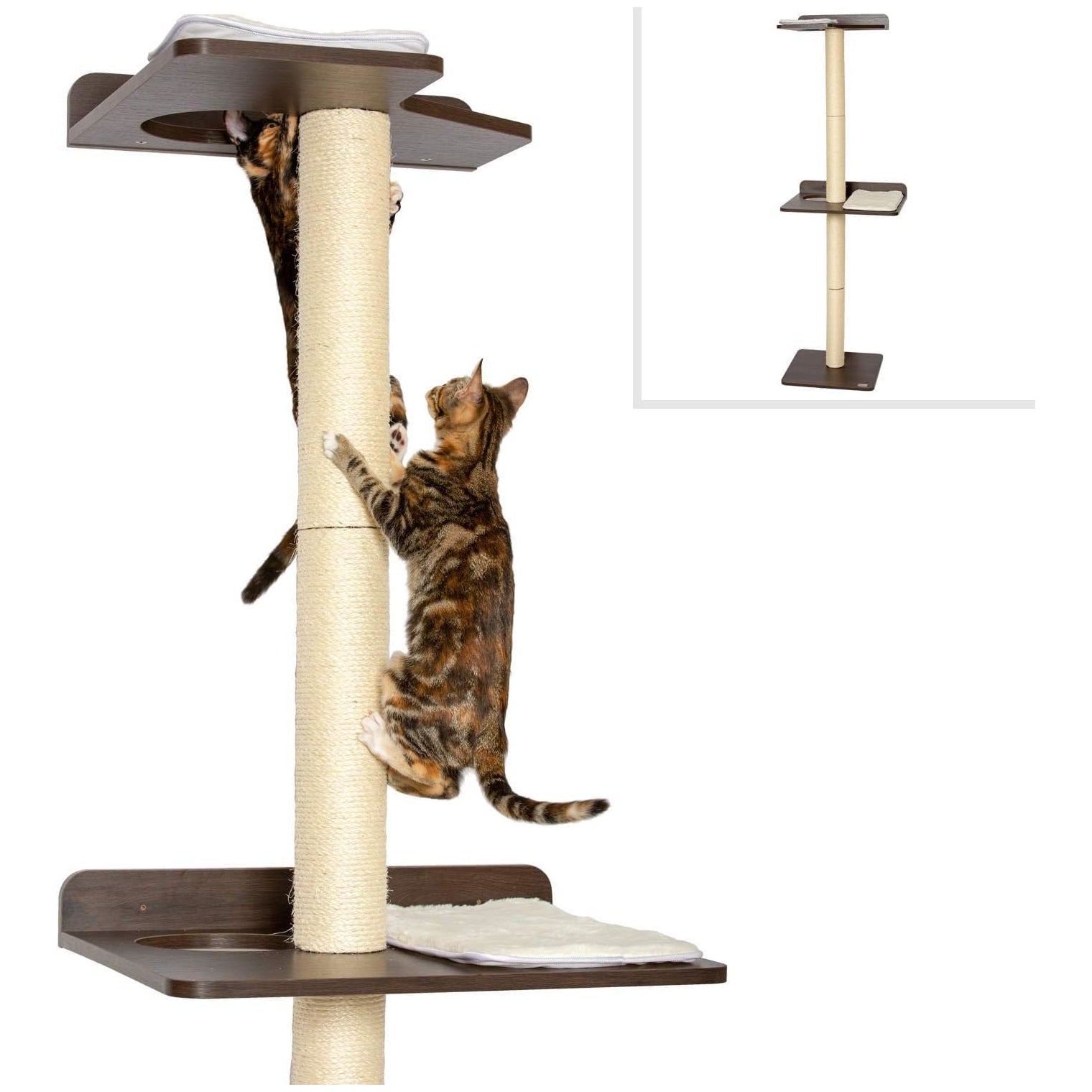 PetFusion Ultimate Cat Climber