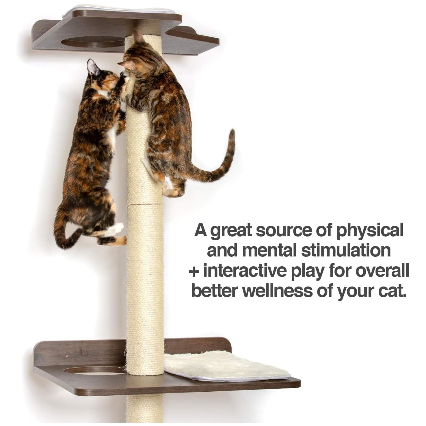 PetFusion Ultimate Cat Climber