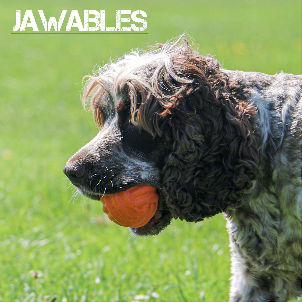 Jawables Extreme Tough Dog Toys Ribbed Ball