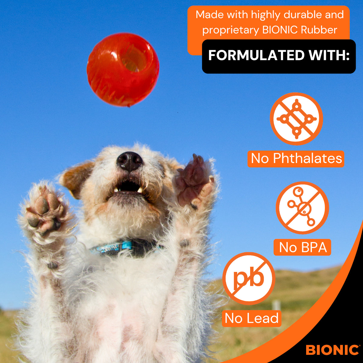 BIONIC Ball Dog Toy 3 Sizes