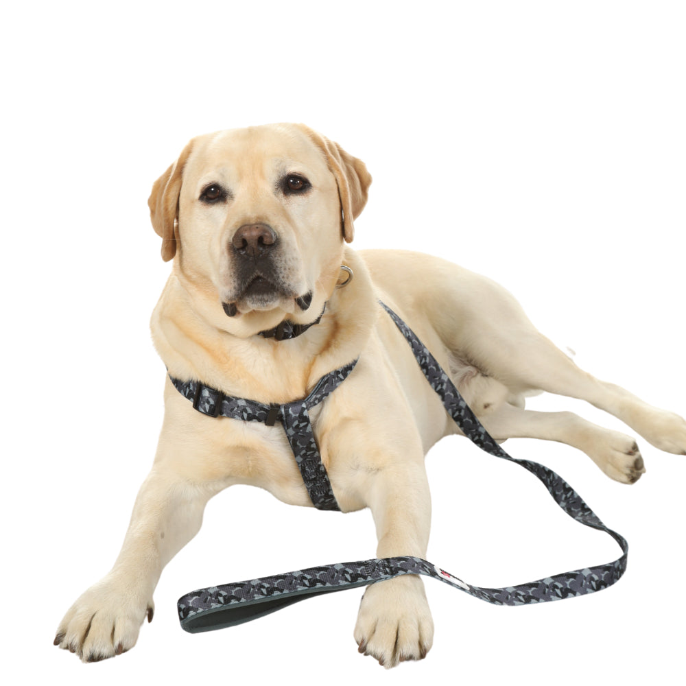 Doodlebone Originals Dog Harness Blush 4 Sizes