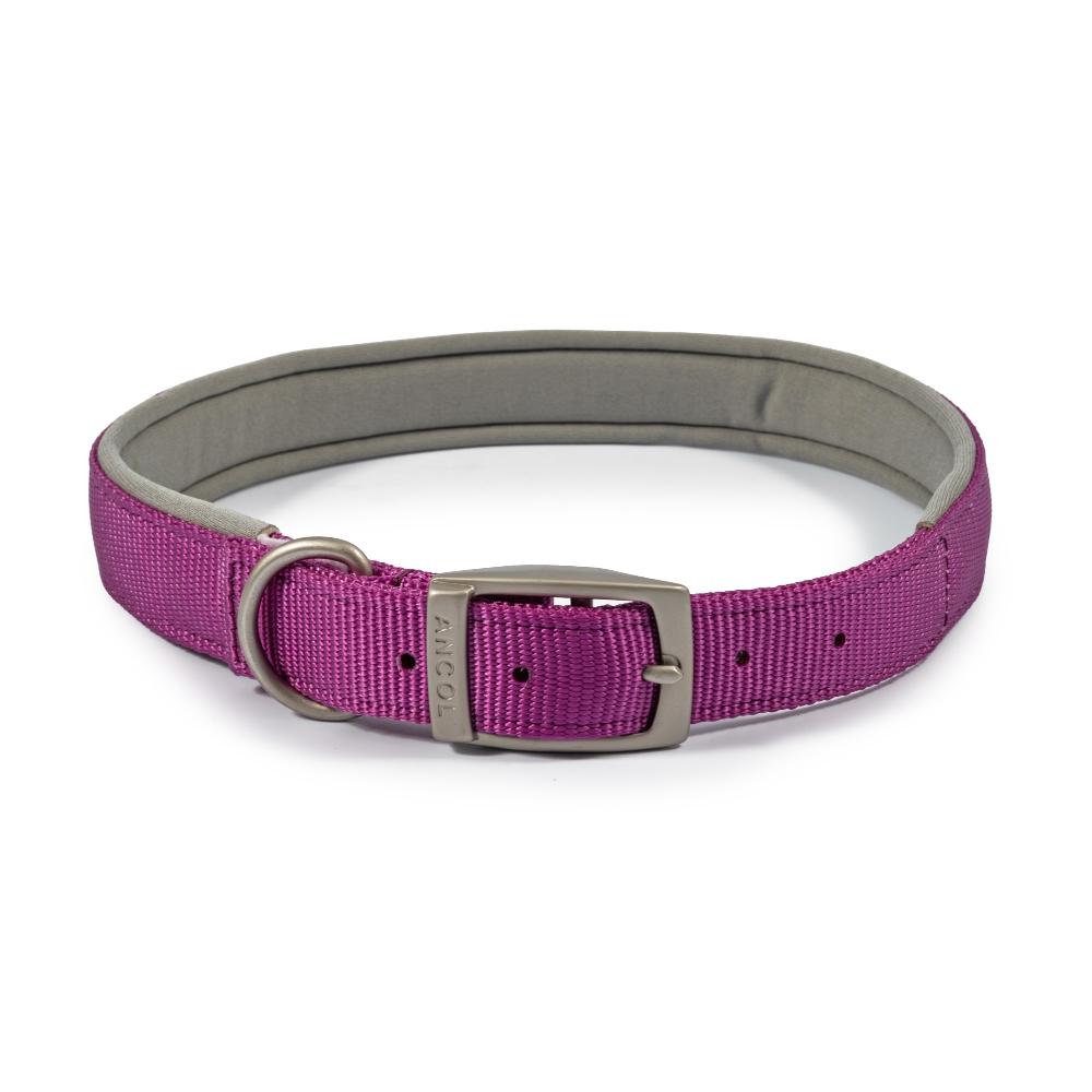 Ancol Viva Dog Collars Buckle Nylon Neoprene Padded Purple 5 Sizes