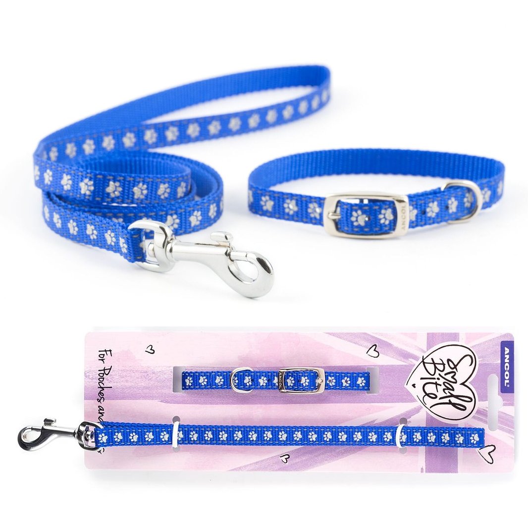 Ancol Puppy Small Bite Dog Collar & Lead Set Nylon Reflective Blue