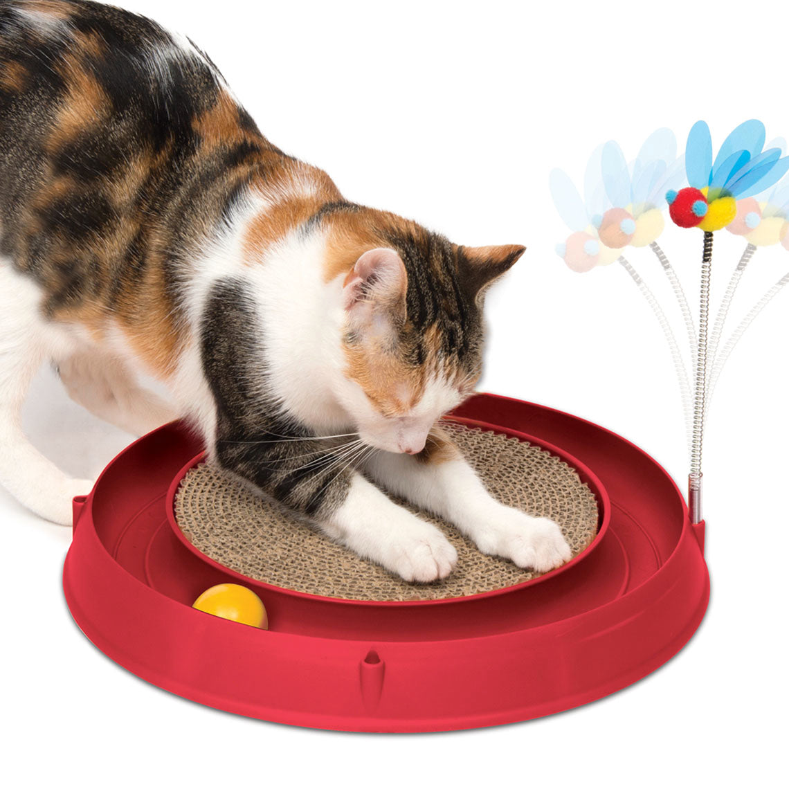 Catit Play Circuit Ball Toy with Scratch Pad