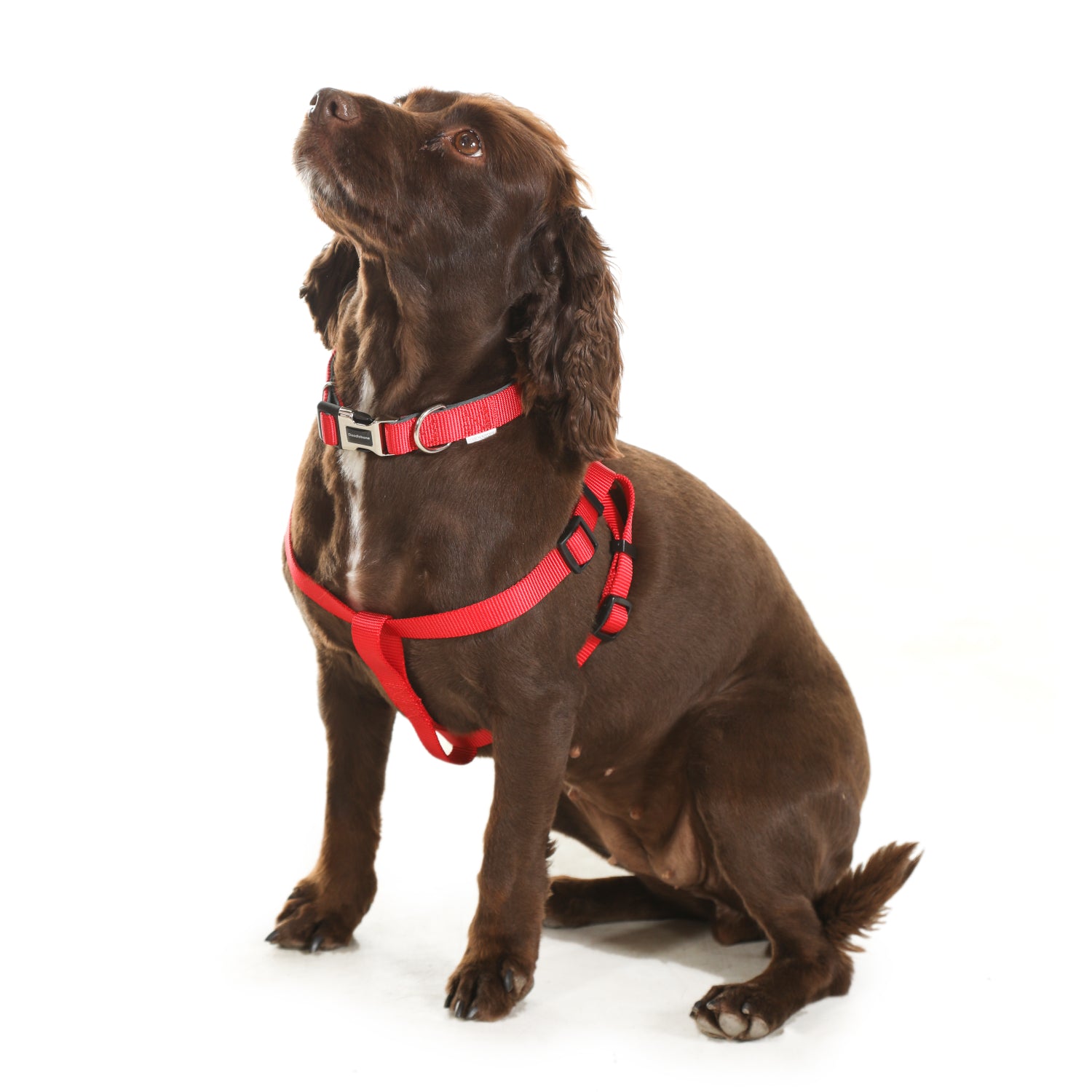 Doodlebone Originals Dog Collar Ruby 3 Sizes