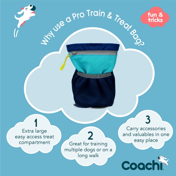 Coachi Pro Train & Treat Bag Navy & Light Blue