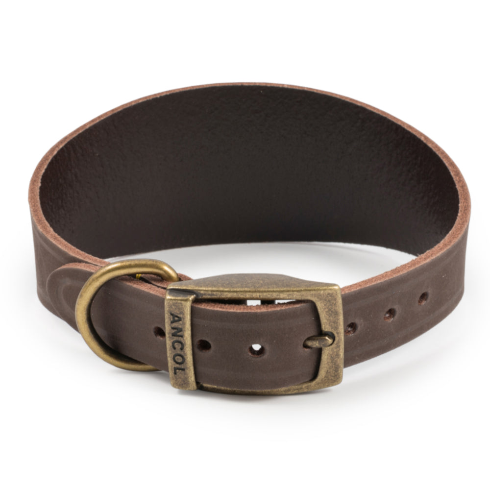 Ancol Timberwolf Greyhound & Whippet Leather Collars Sable 2 Sizes