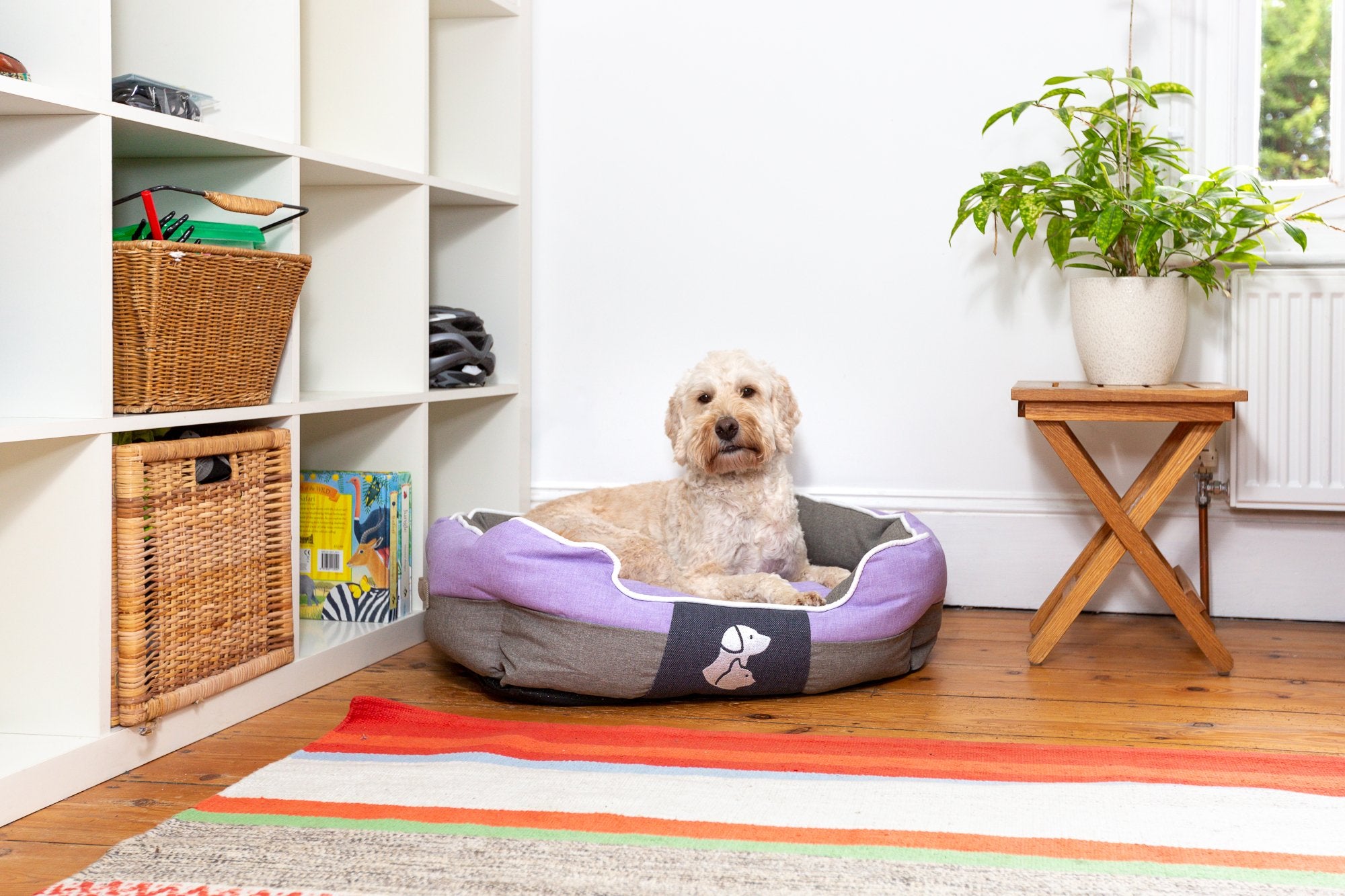Real Pet Store Oxbridge Luxury Dog Beds Purple 4 Sizes