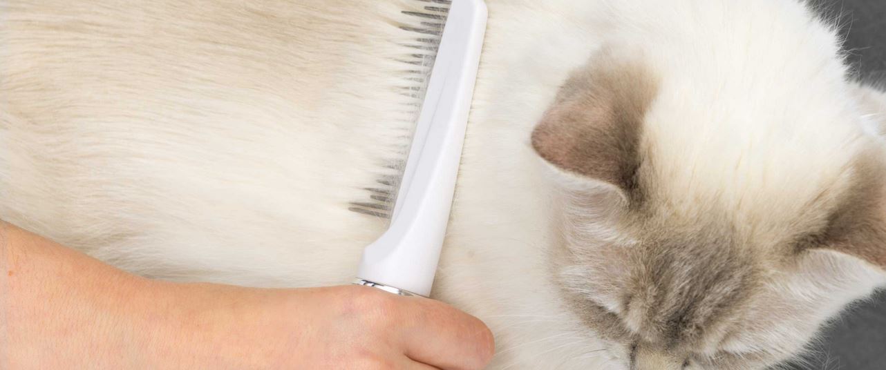 Catit Cat Long Hair Grooming Kit