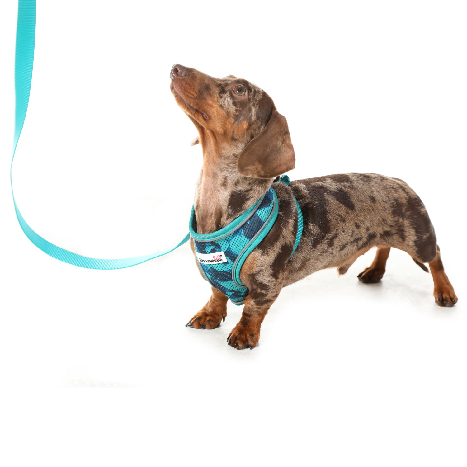 Doodlebone Originals Dog Lead 1.2m Fuchsia 3 Sizes