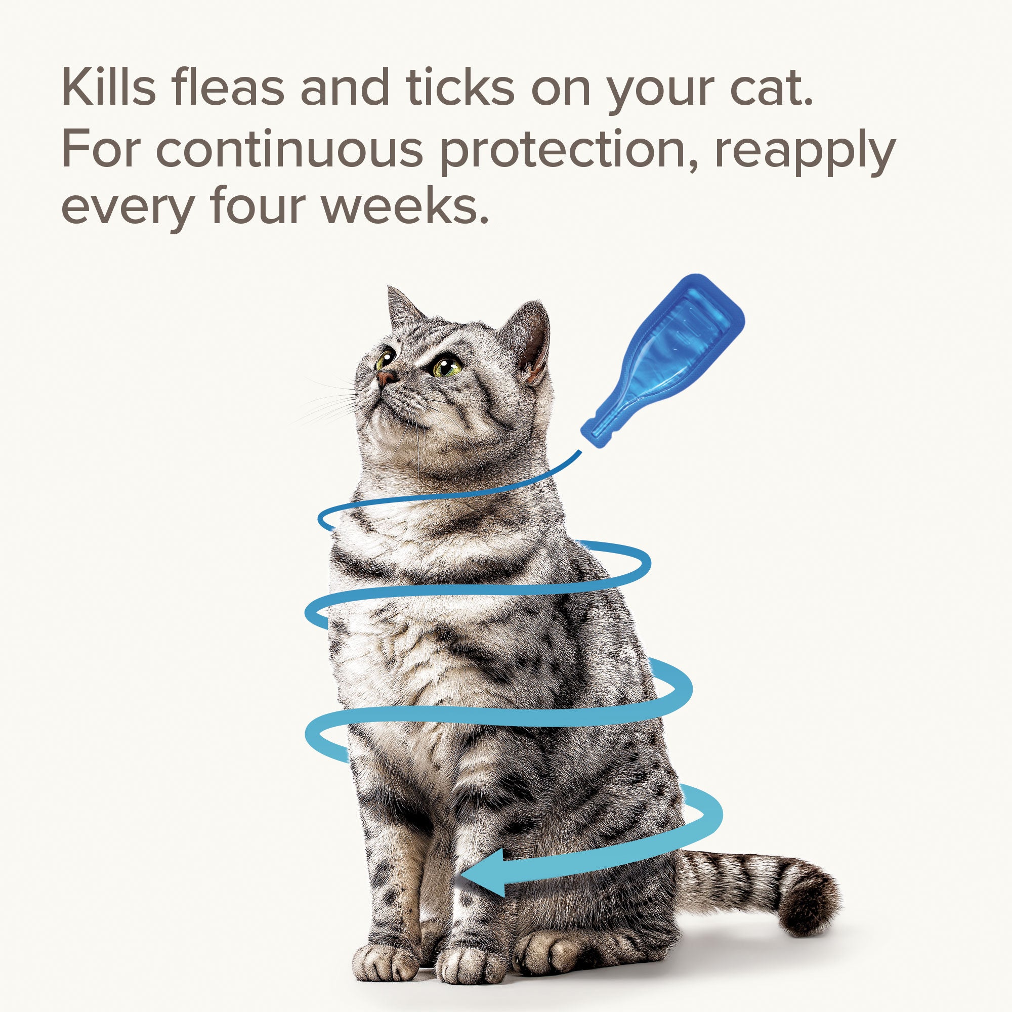 Beaphar Fiprotec Spot On Flea / Tick Treatment for Cats