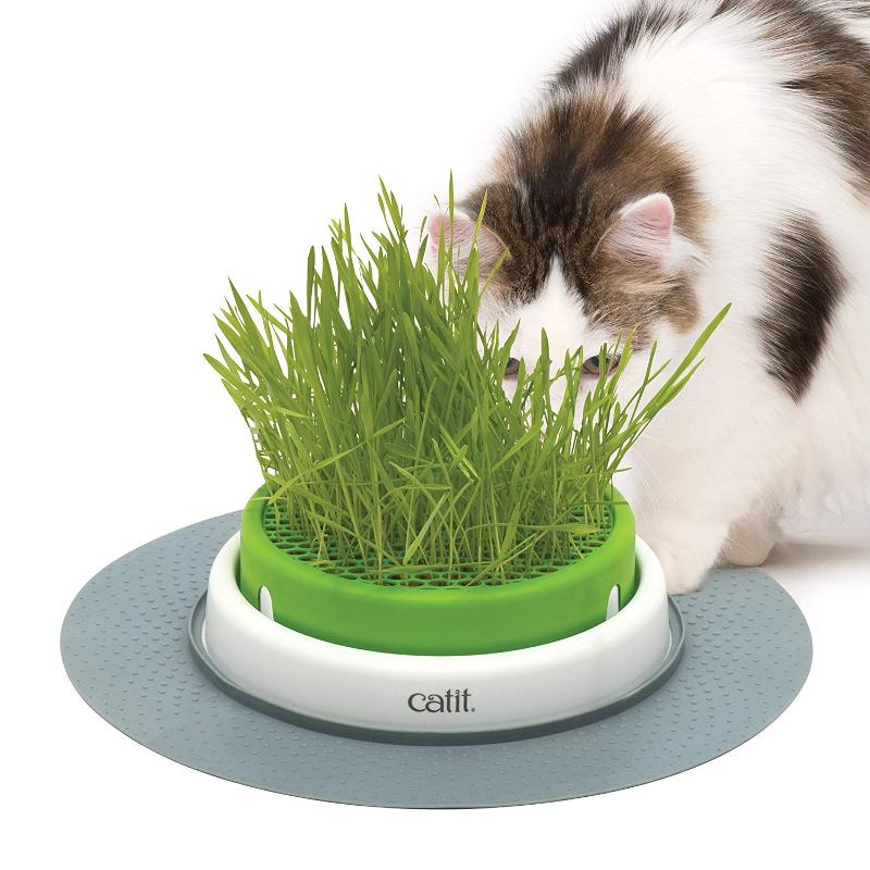 Catit Senses 2.0 Cat Grass Kit